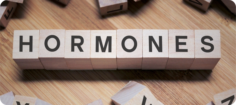 What Does a Hormone Specialist Do? - Nulife Health & Wellness in Omaha, NE